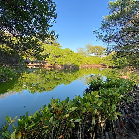Badini Homestay بيموتيران المظهر الخارجي الصورة