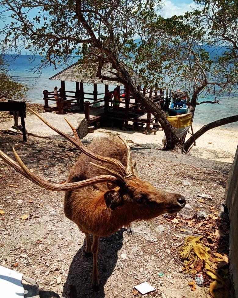 Badini Homestay بيموتيران المظهر الخارجي الصورة